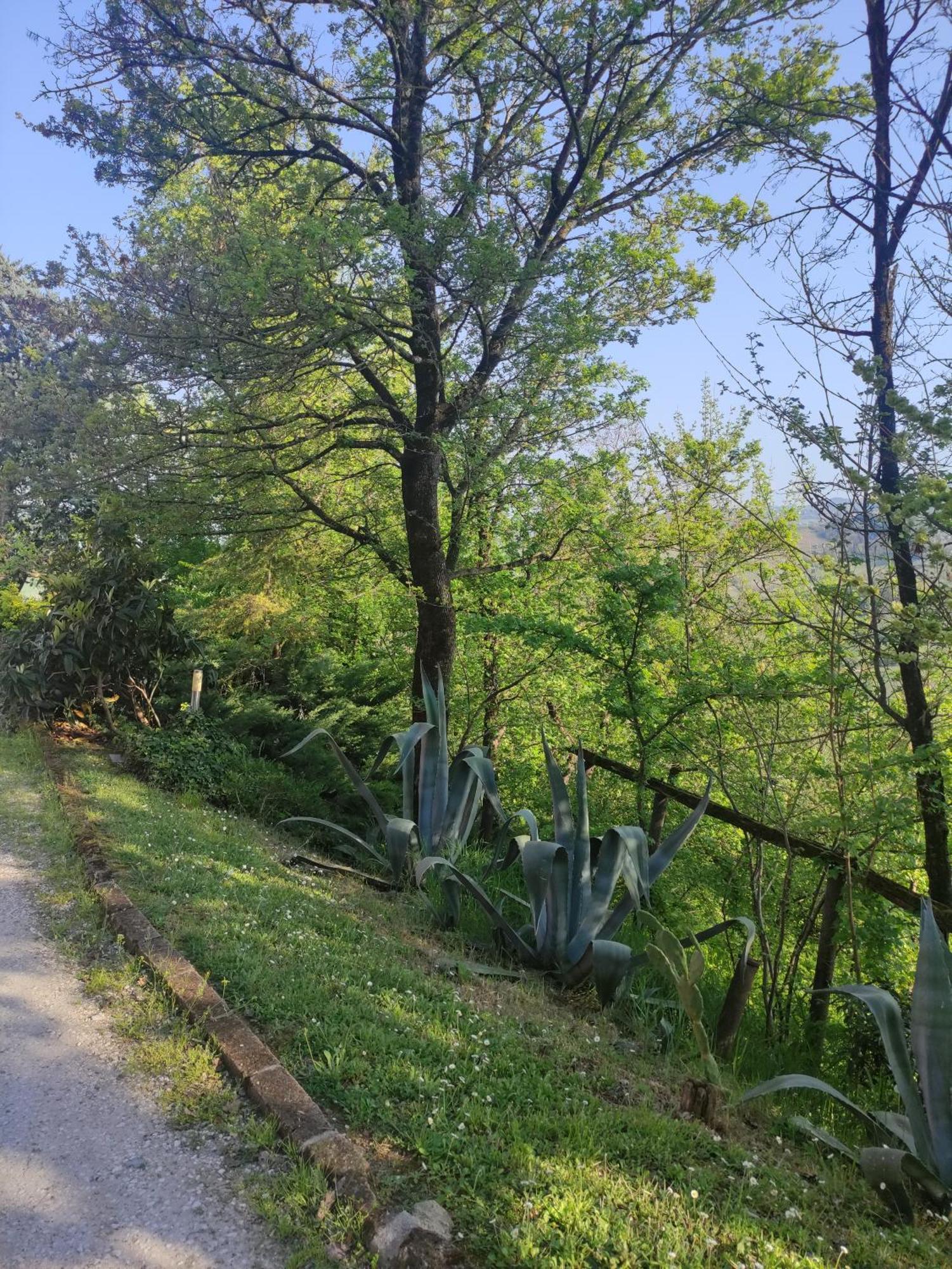 BecedascoLa Pergola住宿加早餐旅馆 外观 照片