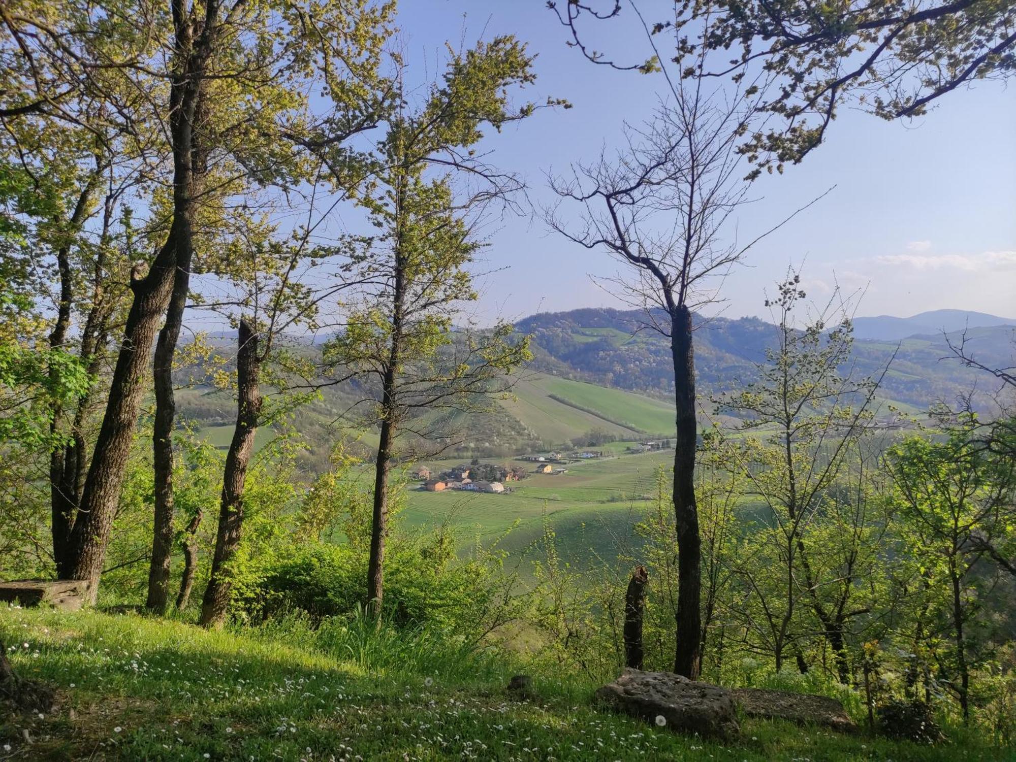 BecedascoLa Pergola住宿加早餐旅馆 外观 照片